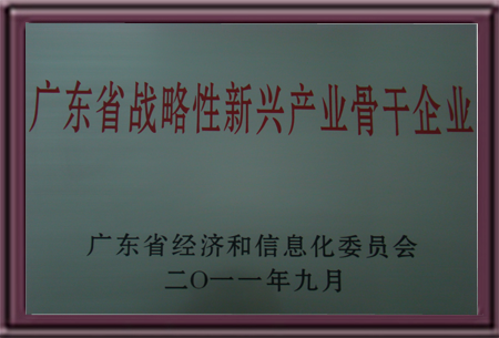 廣東省戰(zhàn)略性新興產(chǎn)業(yè)骨干企業(yè)