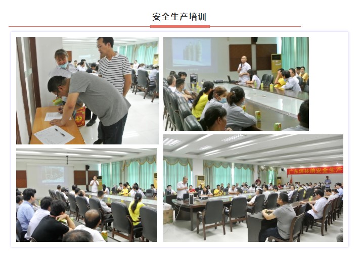 鈣鋅穩(wěn)定劑【煒林納】安全生產(chǎn)月活動——消除事故隱患，筑牢安全防線
